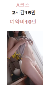 이용안내